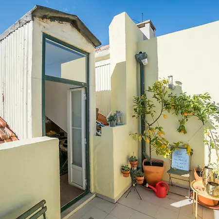 Jolie Gloria With Terrace Apartment *